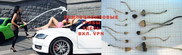 твердый Беломорск