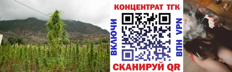 ТГК вейп с тгк Волгореченск