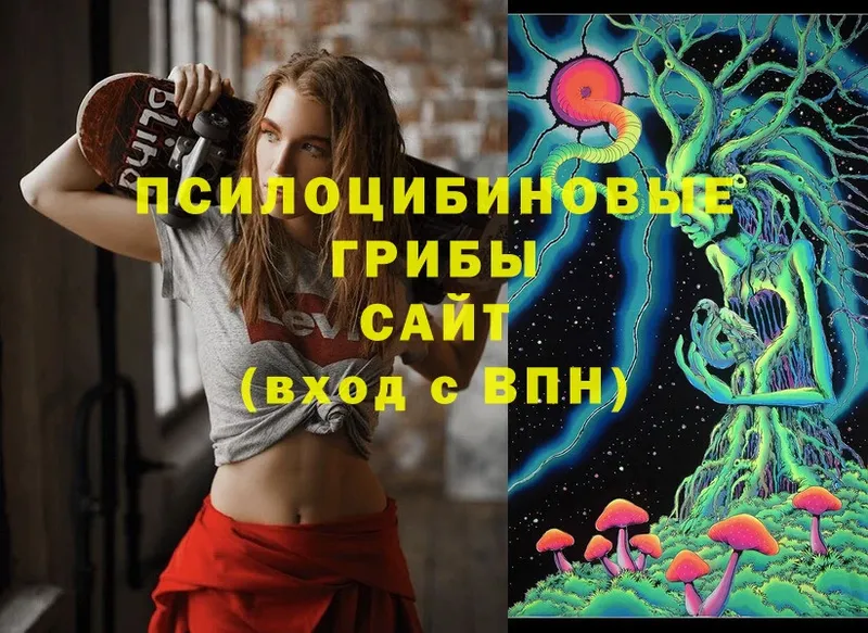 Псилоцибиновые грибы Psilocybe  Волгореченск 